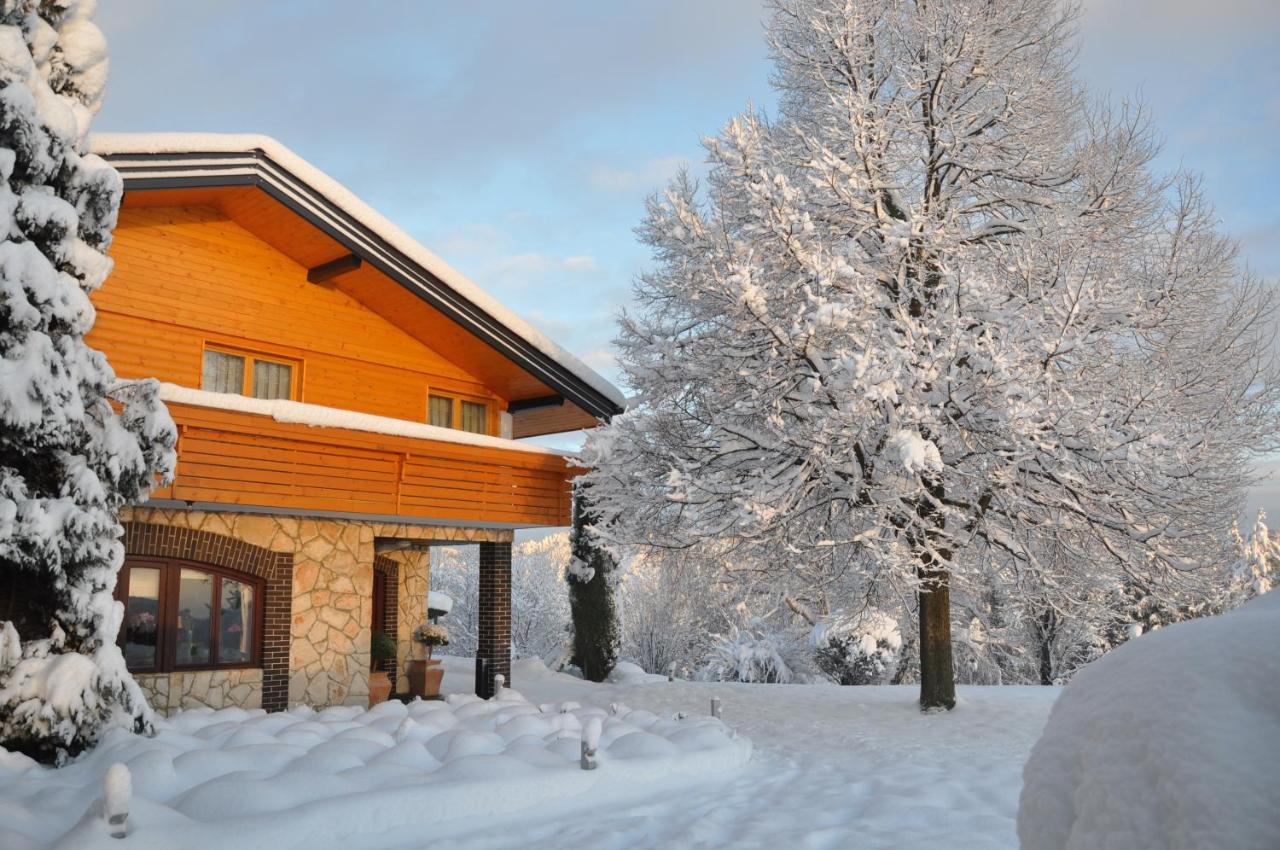 Guesthouse Dolinsek Sevnica Kültér fotó