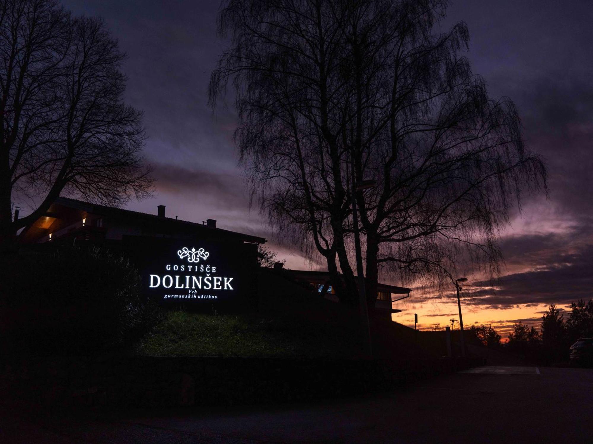 Guesthouse Dolinsek Sevnica Kültér fotó